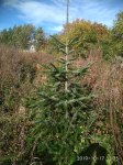 IMG_20191017_123526