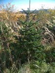 IMG_20191017_123605