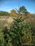 IMG_20191017_123654