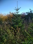 IMG_20191017_123659