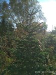 IMG_20191017_123703